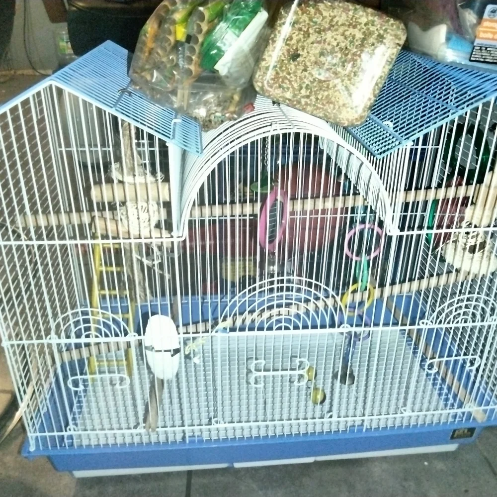 Bird Cage, Accessories, Food, Snacks